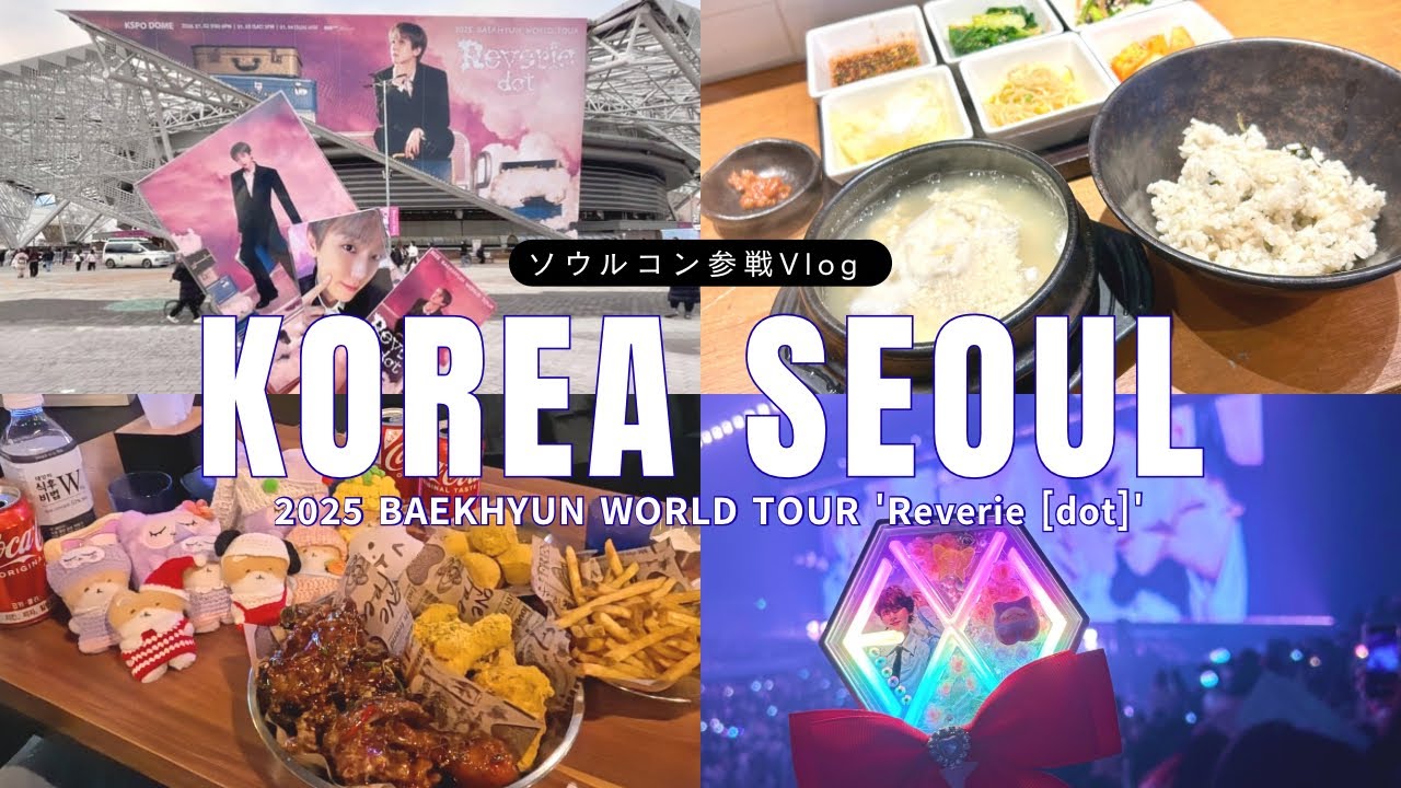 【アラフィフ主婦の韓国ソウルコン参戦旅🇰🇷Vlog＊前編】東大門でごはんとショッピング🛍️𝟤𝟢𝟤𝟧 𝖡𝖠𝖤𝖪𝖧𝖸𝖴𝖭 𝖶𝖮𝖱𝖫𝖣 𝖳𝖮𝖴𝖱 '𝖱𝖾𝗏𝖾𝗋𝗂𝖾［dot.］'