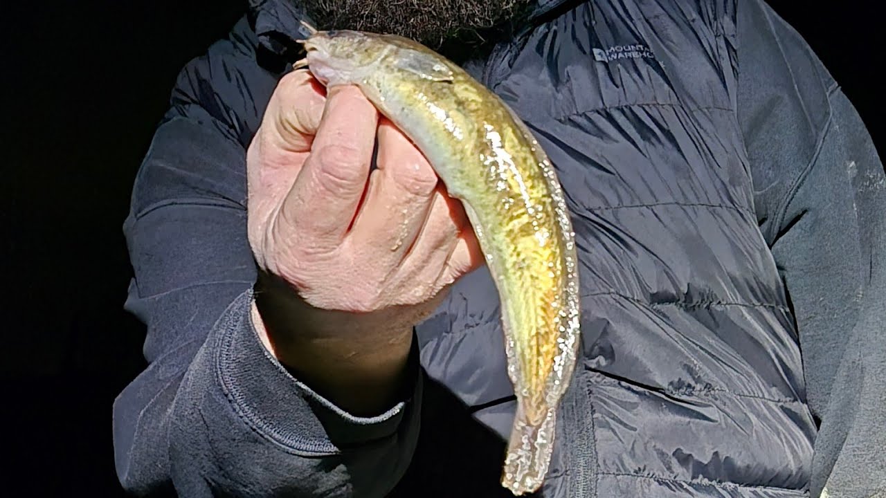 Рыбалка на окуня с пляжа в январе 🎣 / рыбалка с пляжа в Великобритании