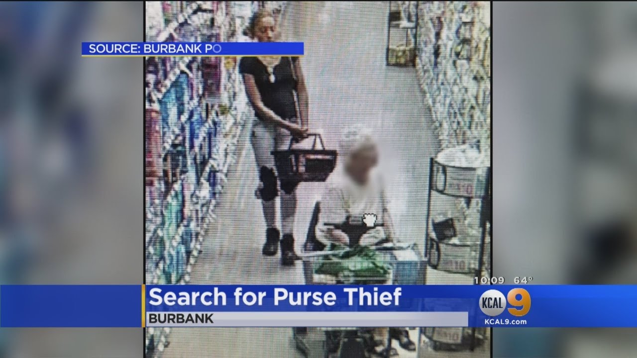 Purse-Snatcher Caught Swiping Elderly Woman's Purse