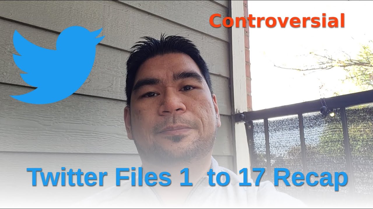 Recap | Twitter Files 1 to 17