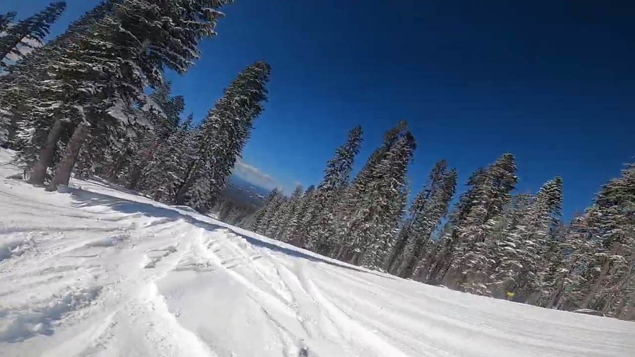 Bro Boarding at Dirt Ridge!