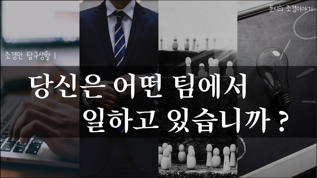 팀워크의 4가지 유형 | 조경인 탐구생활 1