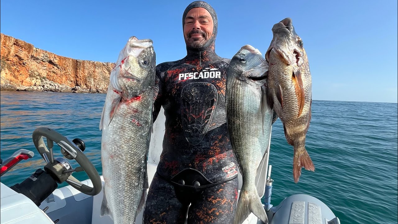 Defeso do sargo. Apanha-se robalos
