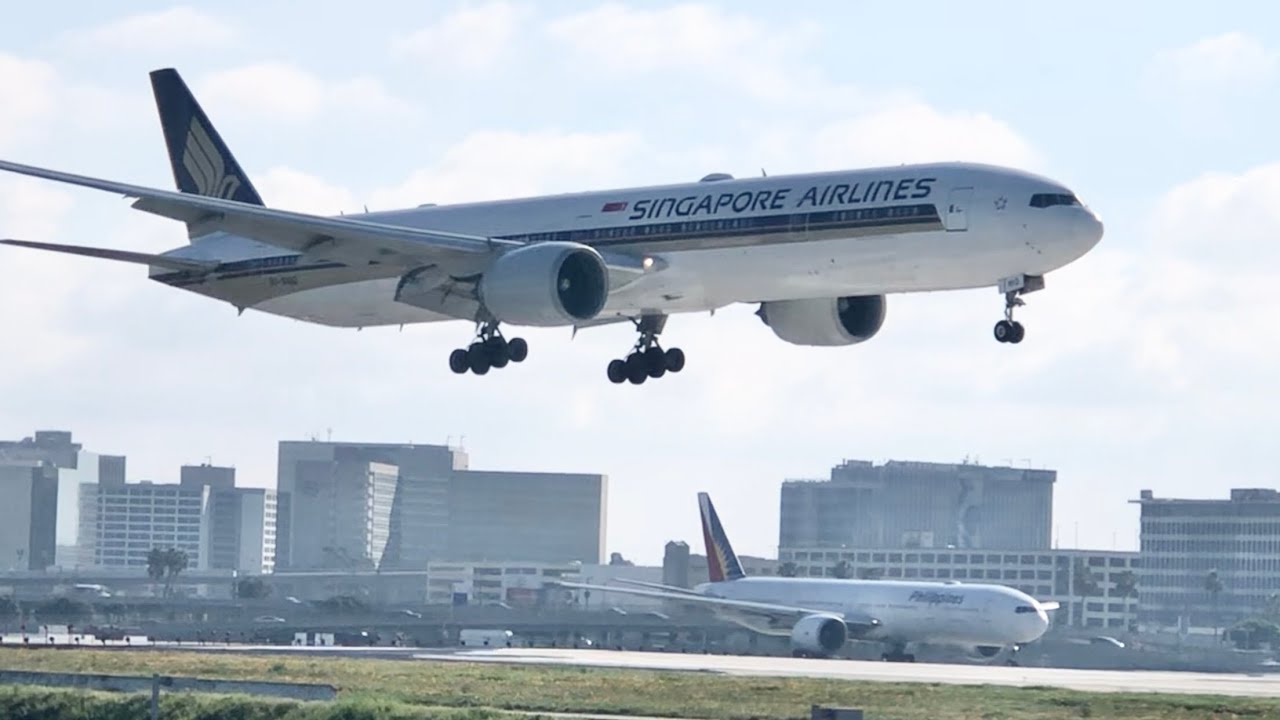 LAX favorite place to relax with airplanes landing 