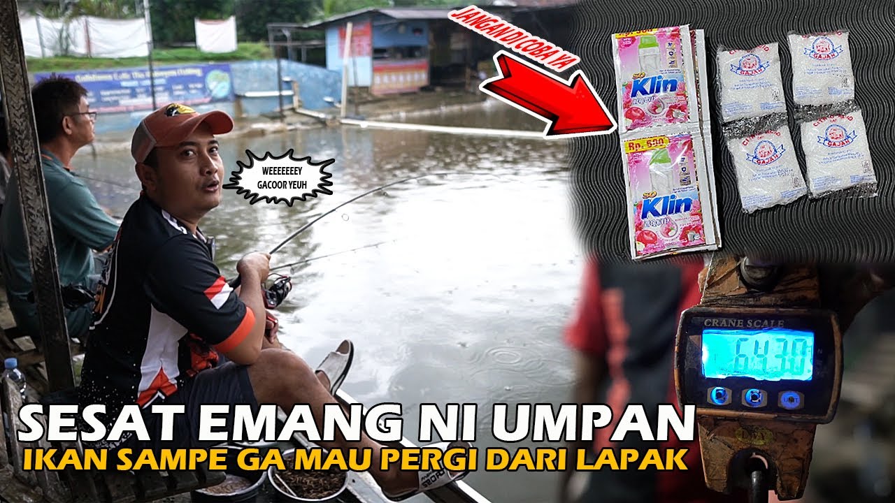 RACIKAN SESAT HADIR KEMBALI❗❗JANGAN DI COBA KALO GA MAU DI USIR PANITIA KOLAM❗❗ KHUSUS YANG BERANI🤣