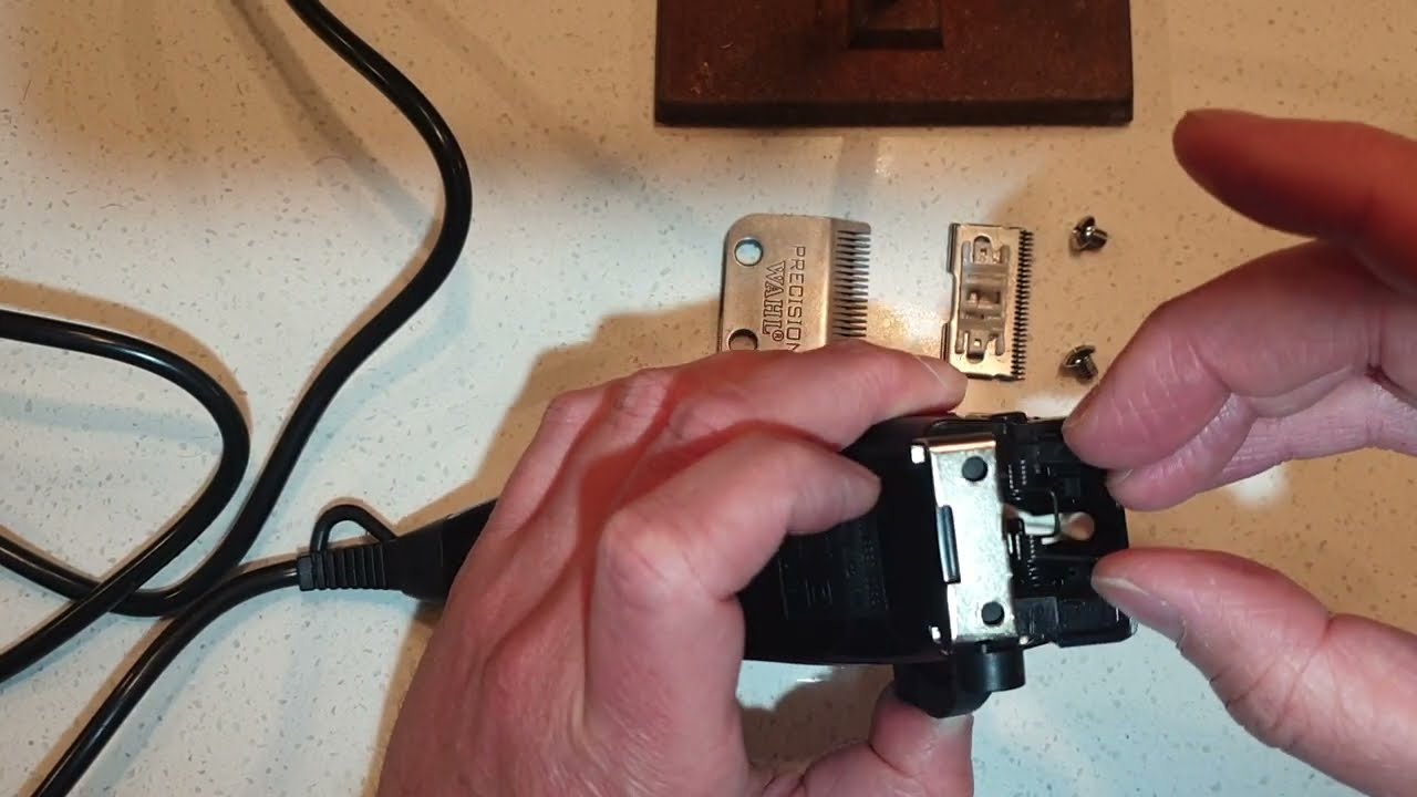 Assembling Wahl clippers after oiling.  The Spring!