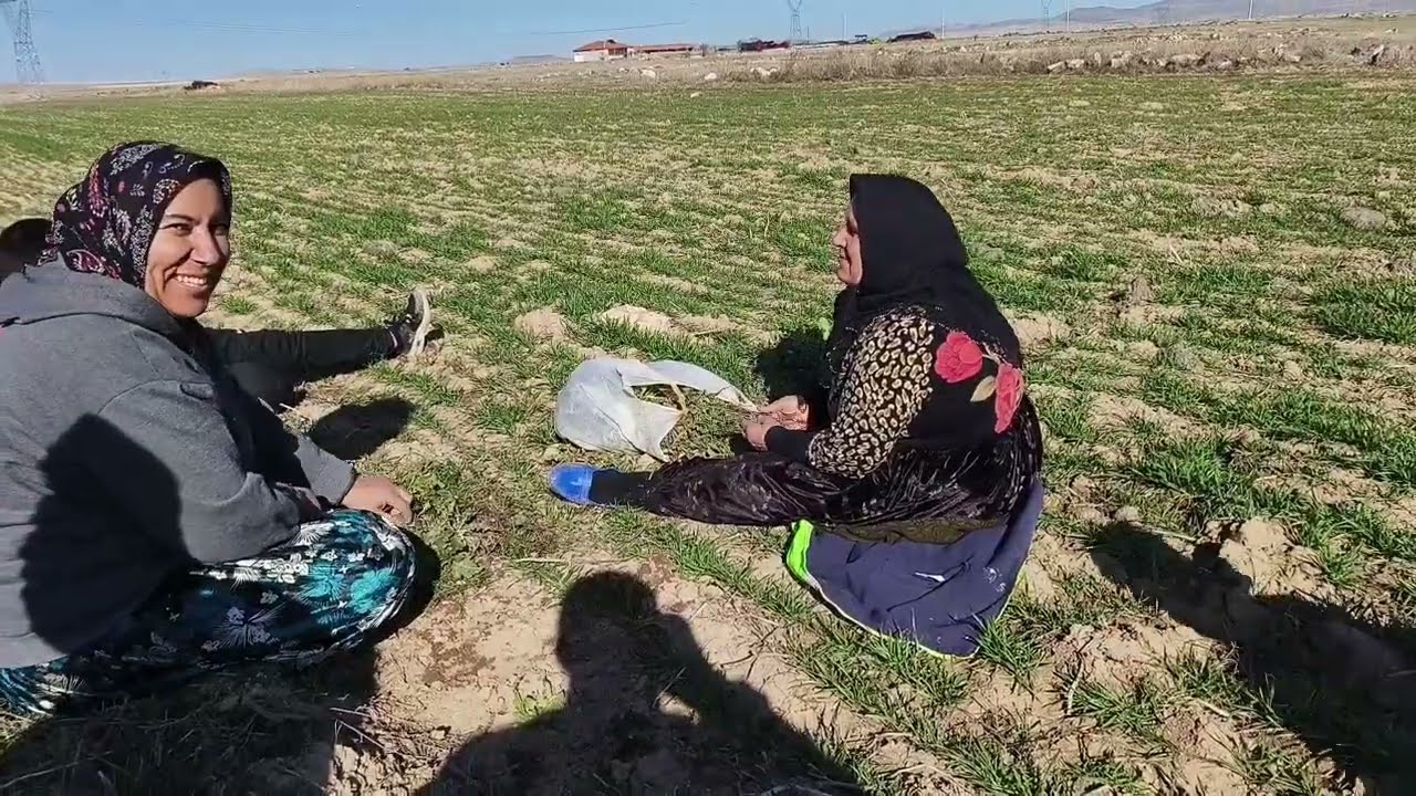 21 Şubat 2026