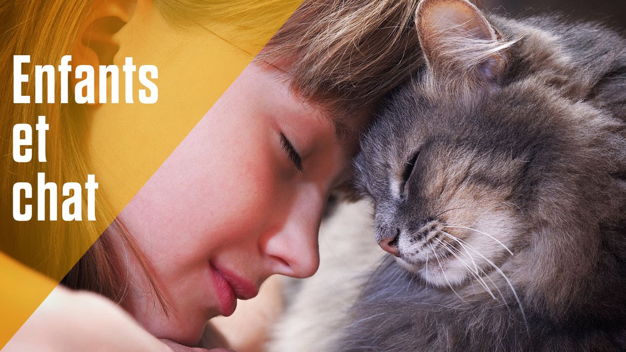 Avoir un chat et des enfants