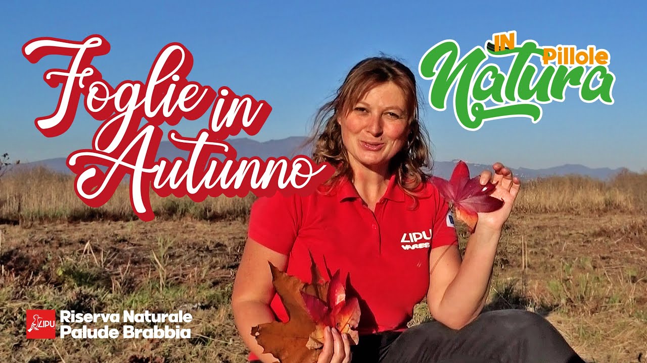 Pillole in Natura Ep9 Le foglie in Autunno