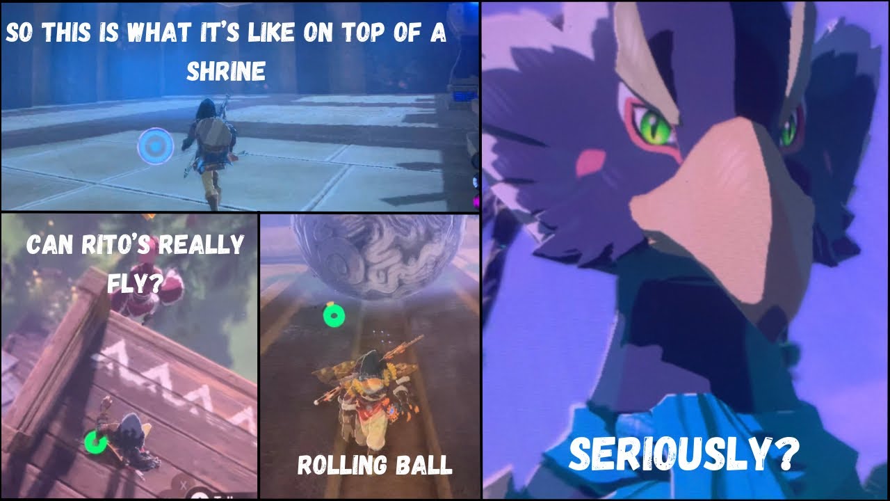 Revali Watching Link be Like