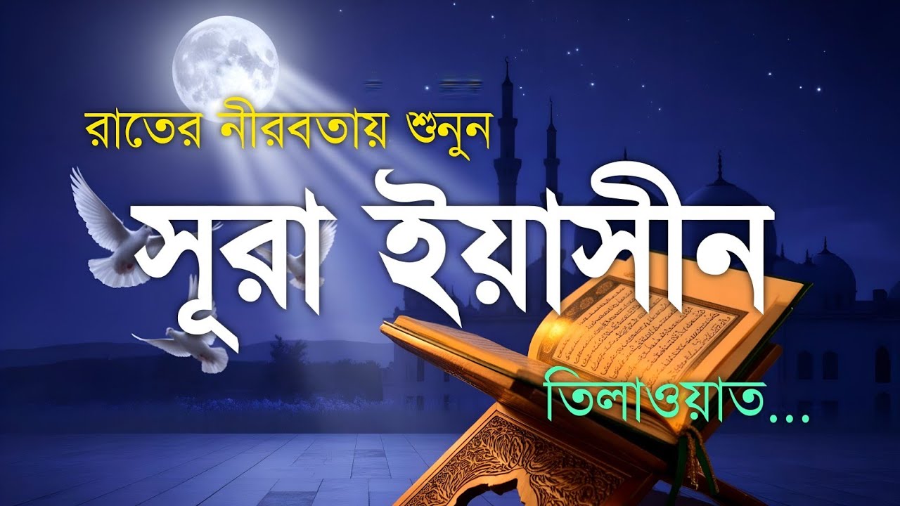 রাতের নীরবতায় হৃদয় ছুঁয়ে যাওয়া সূরা ইয়াসিন | Soothing Surah Yasin Tilawat | By Ismail Nouri