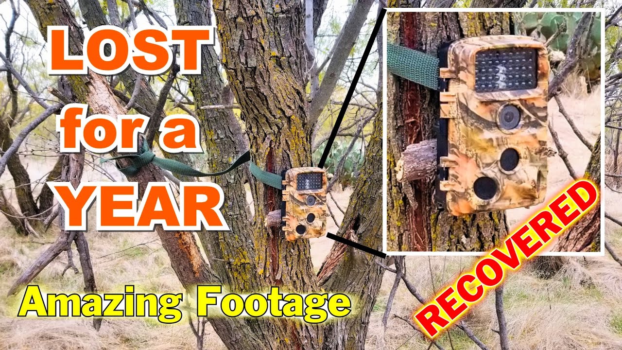😲 I LOST my Campark Trail Camera in the Woods! 😭 Finally Recovered!