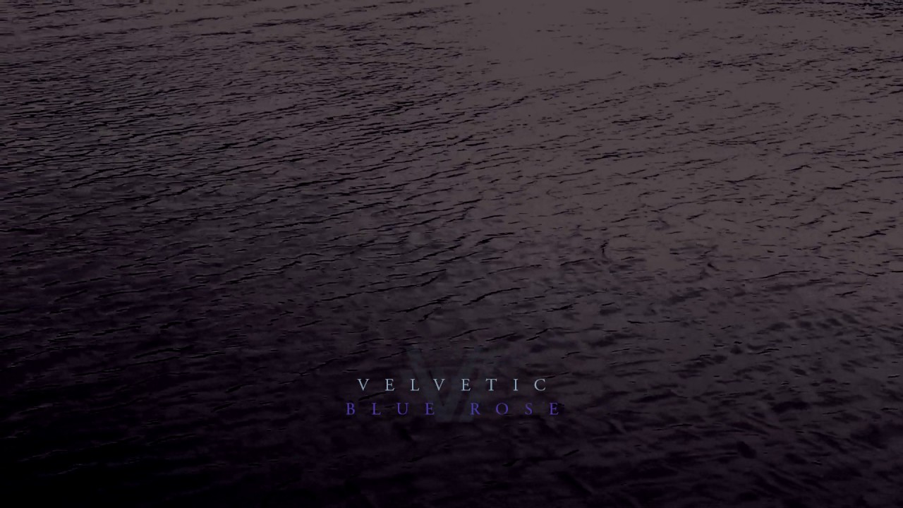 Velvetic - Blue Rose (Audio Stream)