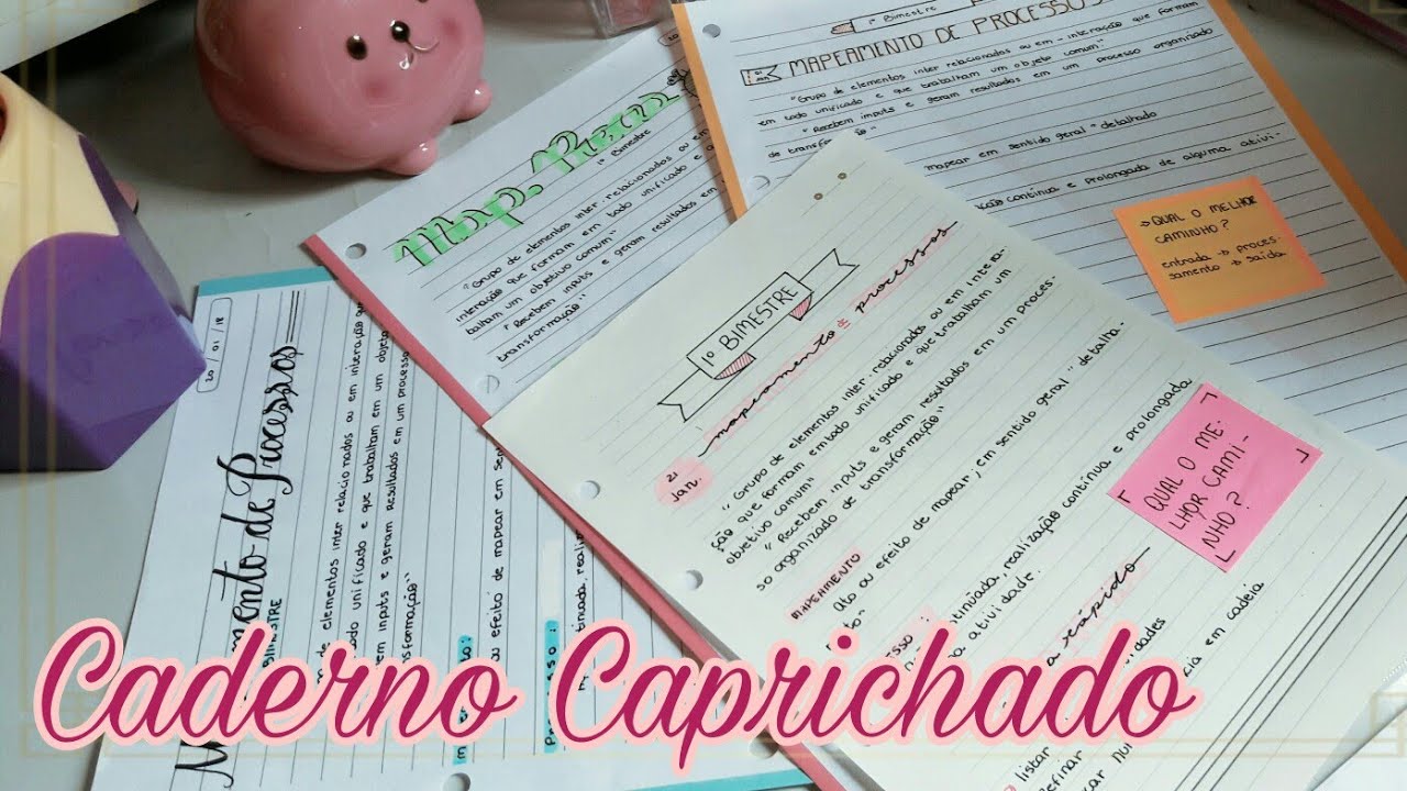 Como deixar o caderno/ Fichário lindo | Indi Studies