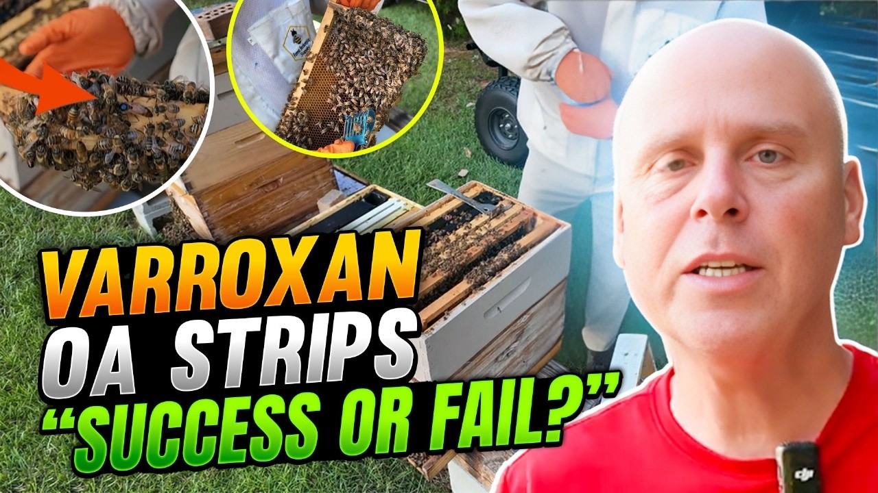 The Fight Against Varroa Mites Just Got Interesting