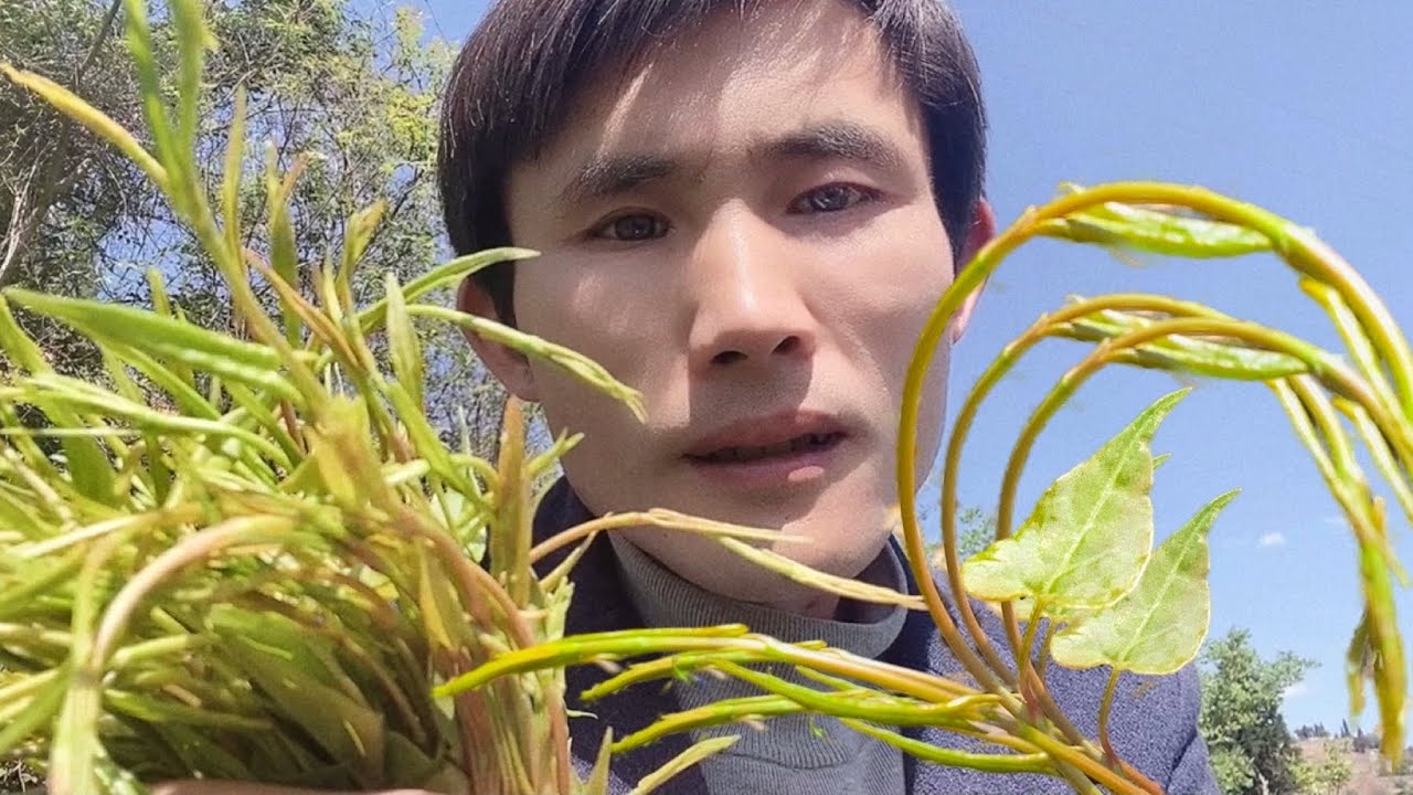 Foraging wild edible plants : It's not just a 