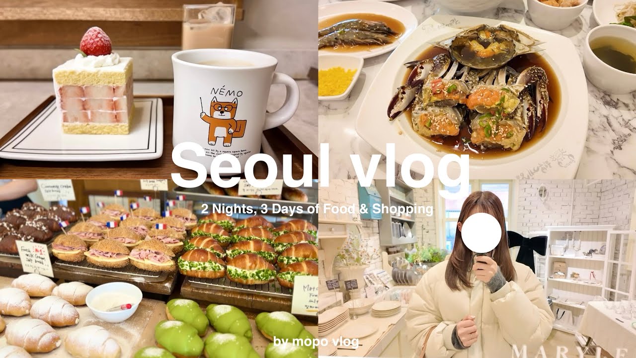 【Seoul vlog】冬の2泊3日韓国旅行🇰🇷最新グルメとショッピングを大満喫🤍聖水|東大門|明洞|江南ピアススタジオ🎀
