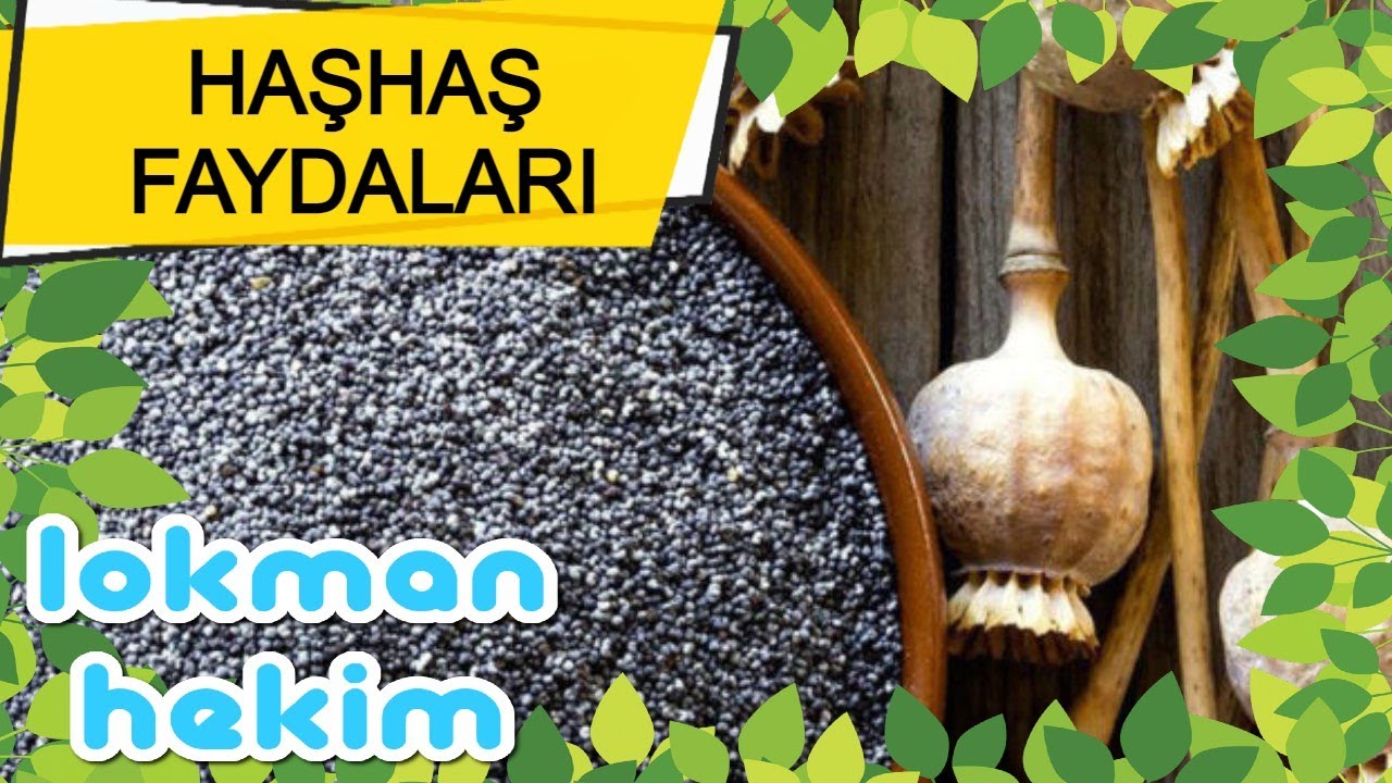 HAŞHAŞ FAYDALARI