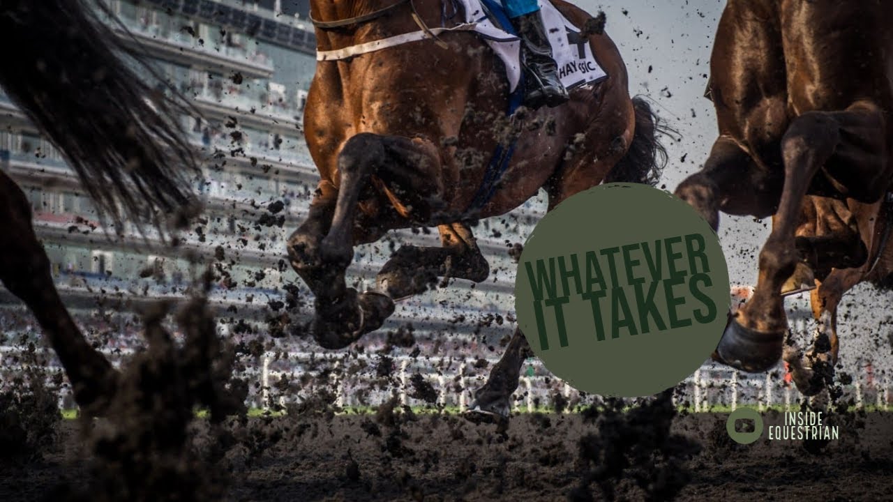 Whatever It Takes || Horse Racing Music Video ||