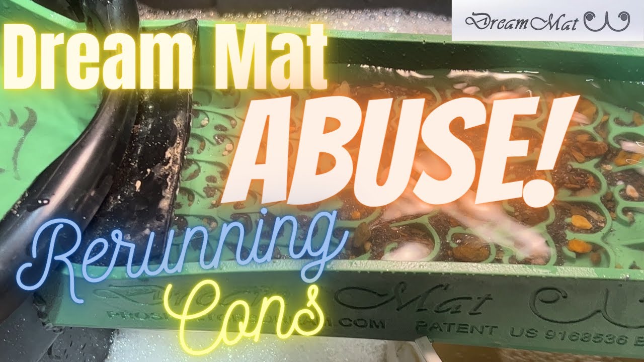Dream Mat Abuse! Rerunning Cons