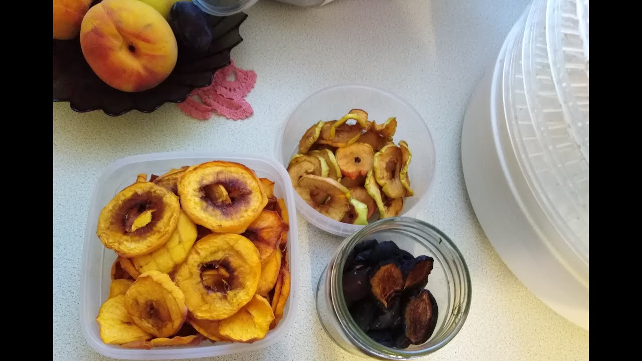 218. Сушу фрукты в электросушилке: персики, яблоки, сливы, бананы.Вкусные фруктовые чипсы на перекус