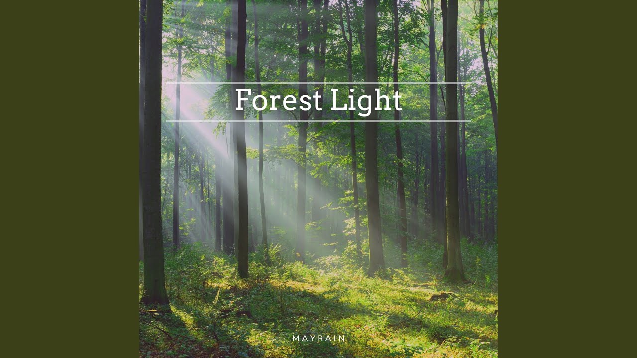 Forest Light