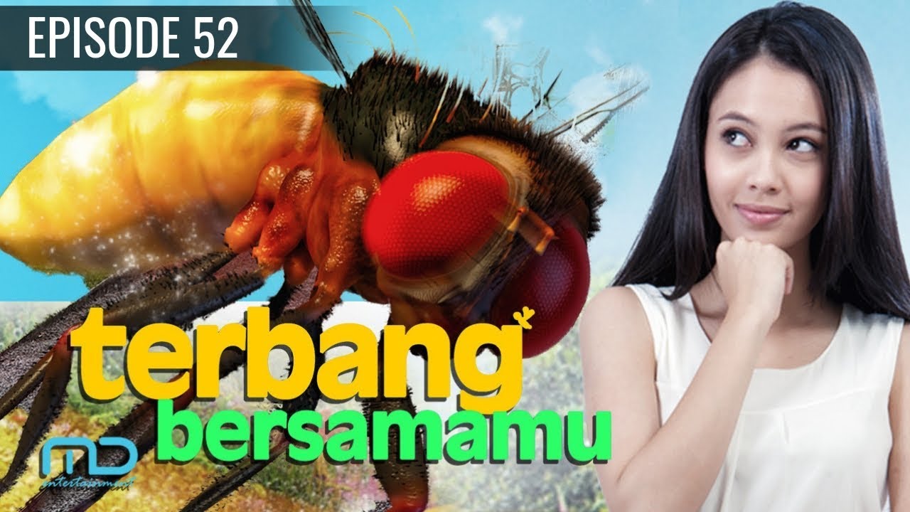 Terbang Bersamamu - Episode 52 | Terakhir