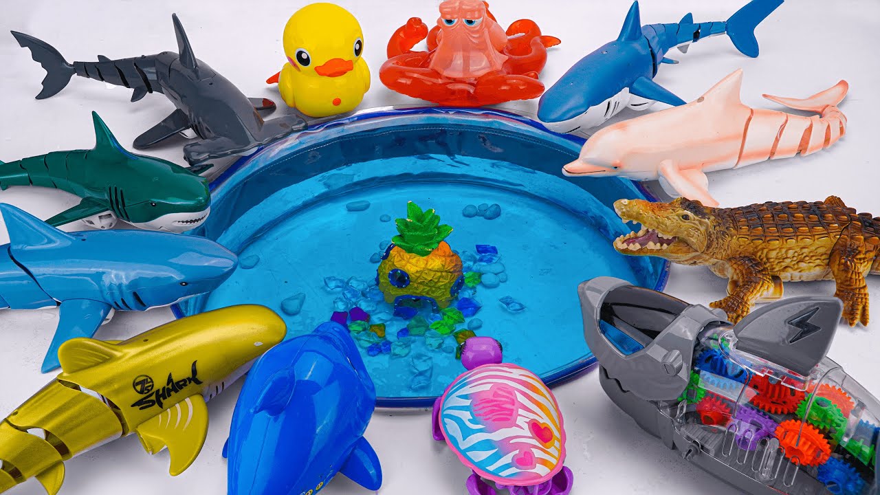 [🦈toy asmr🦈] Sea Animal Toys & RC Dolphin & Shark Toy Collection ASMR | Satisfying With Unboxing
