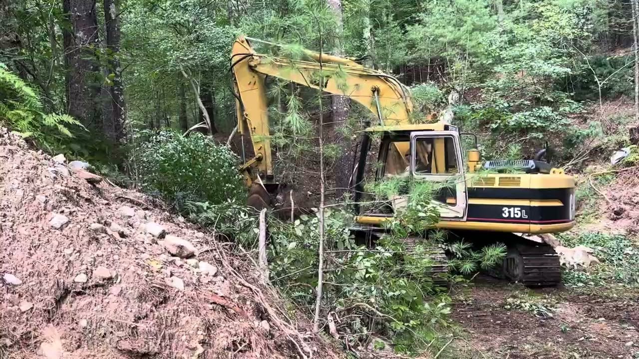 Taking Down Big Pine Trees with the Cat 315L Please Subscribe to Our Channels