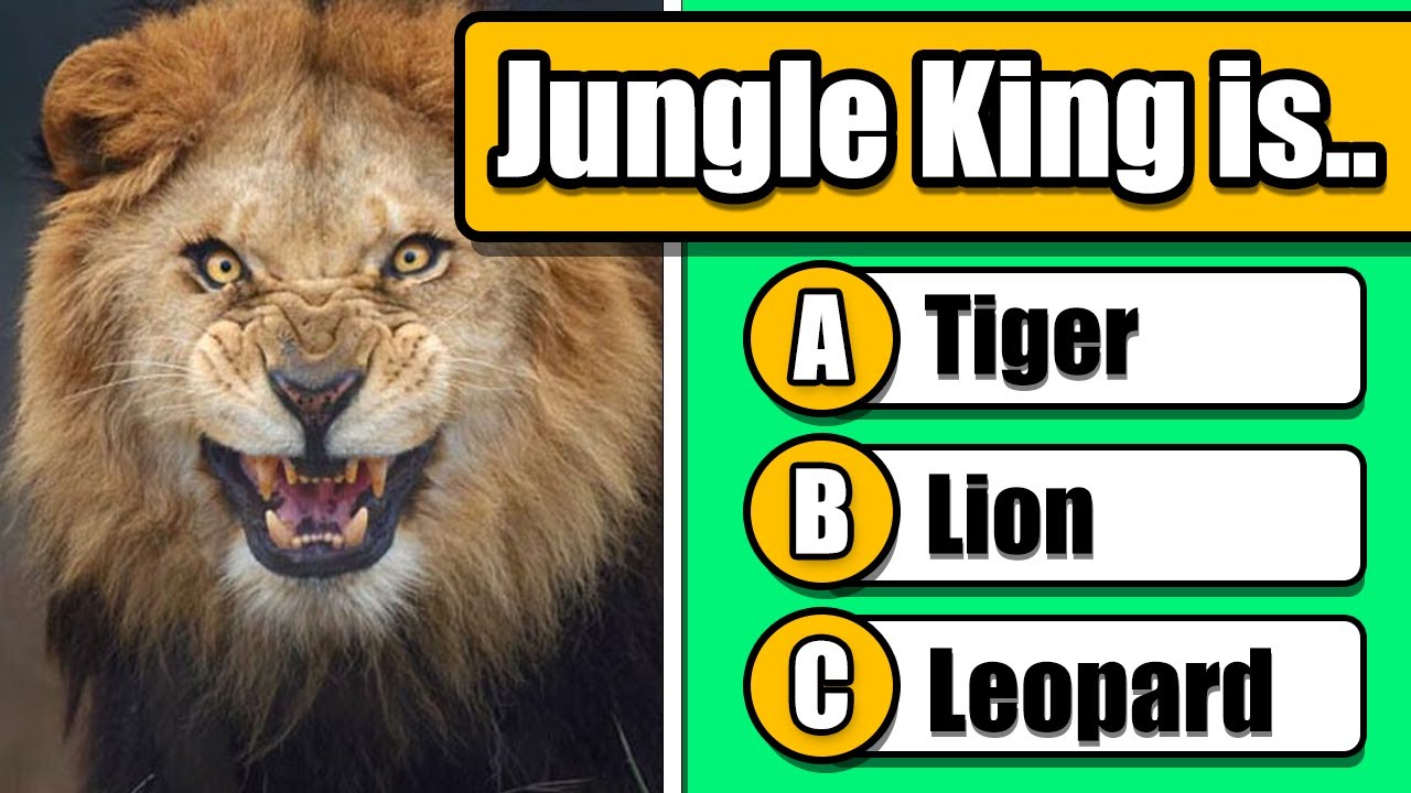 General Knowledge Quiz #4 - Animals 🐶🐱🐨