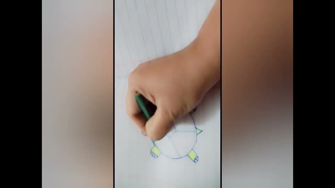 Draw a turtle 