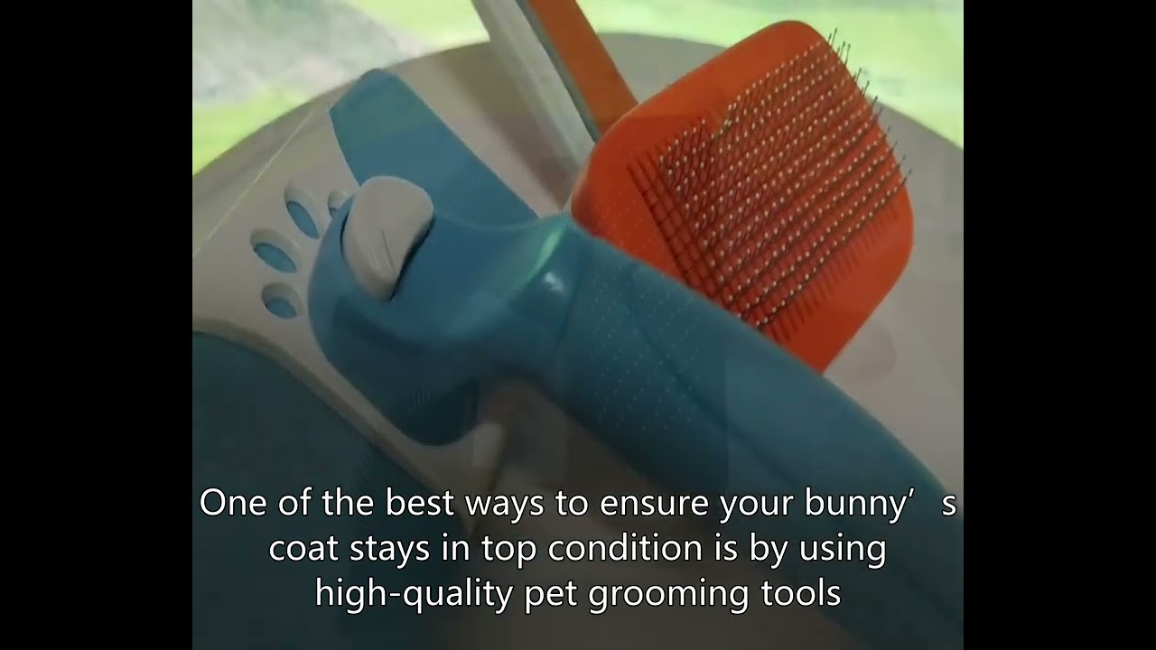 Pet Grooming Tool for Bunny China Best Factory