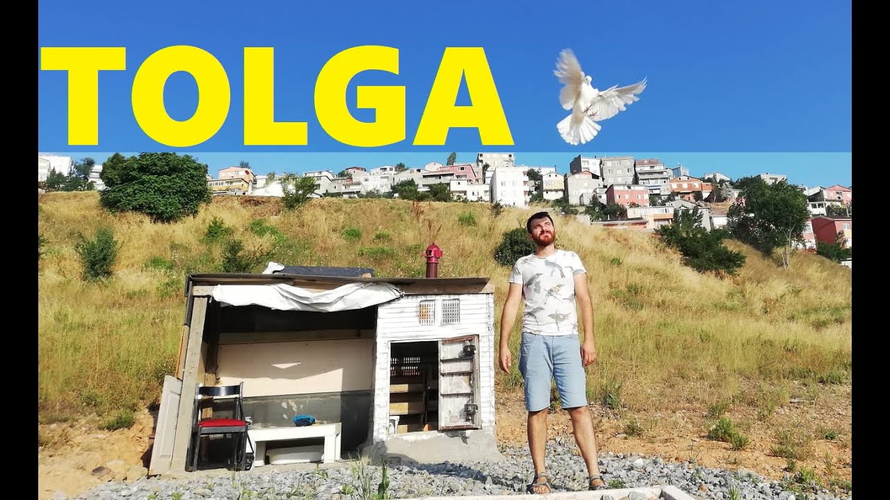 Maltepe'den Tolganın Oyun Kuşu Kümesindeyiz.