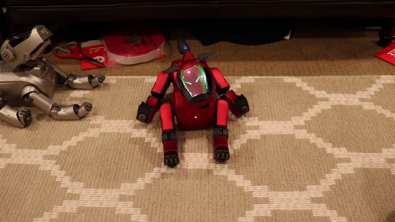 Fun With AIBO Custom Boot Tunes