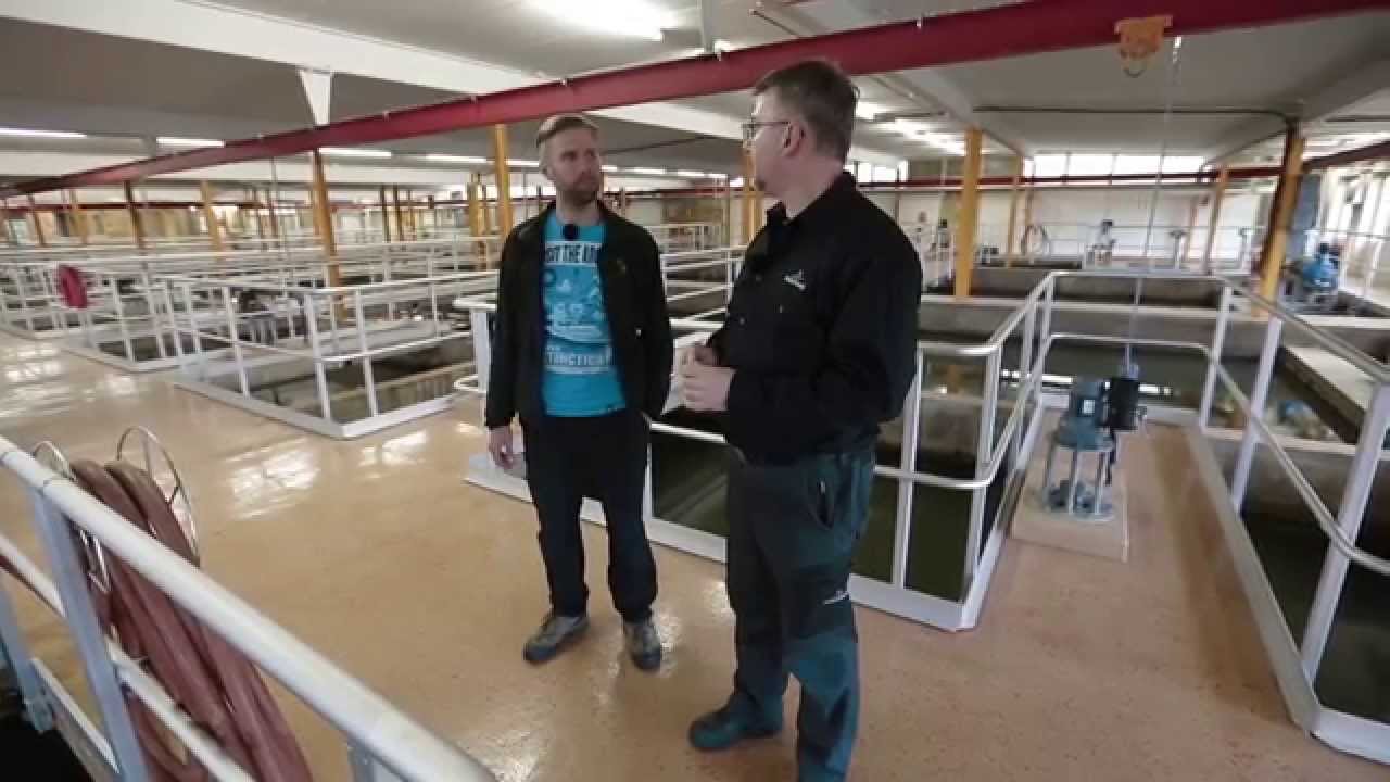 Hur fungerar ett vattenverk?