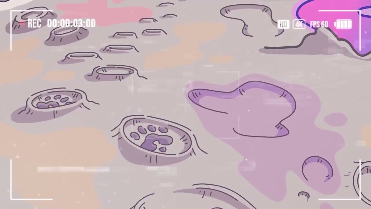 PAWS Telegram bot drop