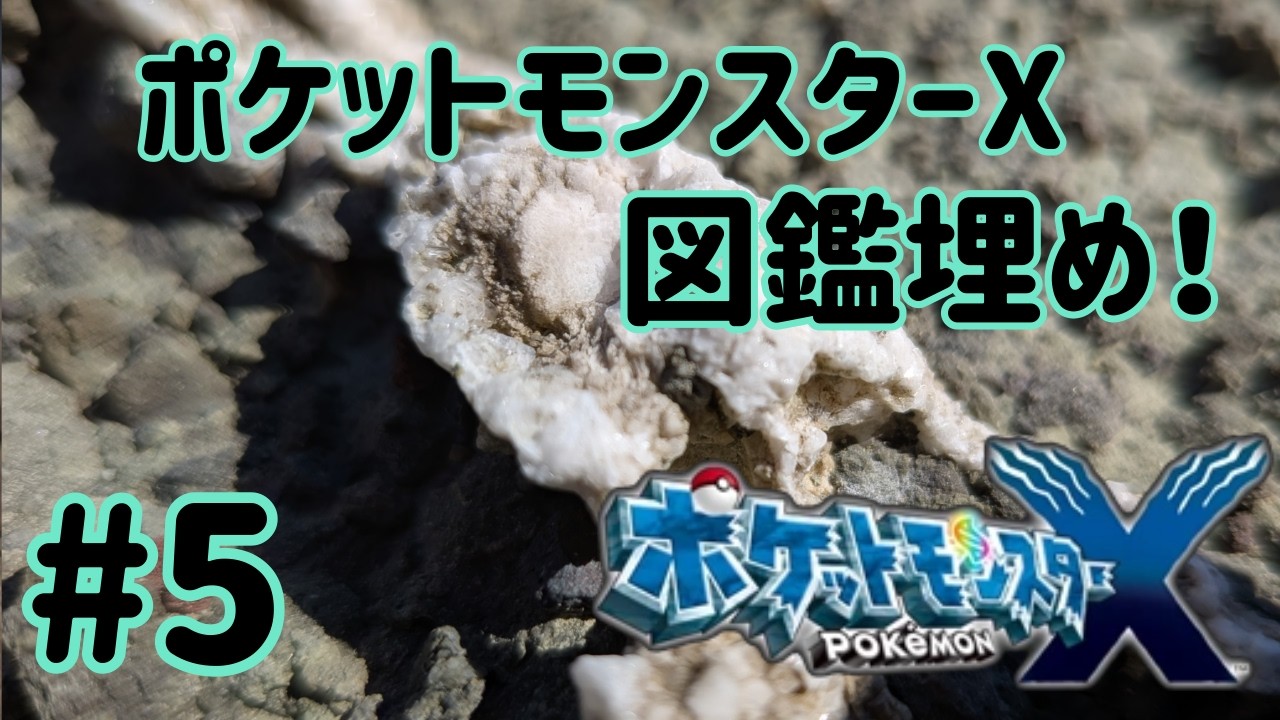 #5#ポケットモンスターx 　図鑑埋めじゃい！！！