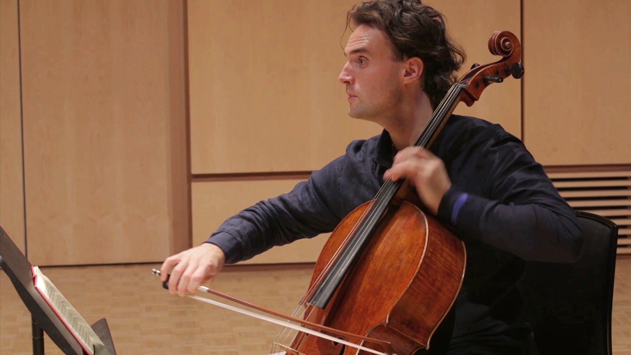 Elschenbroich on Dvoř&aacute;k: Fantasy And Colour