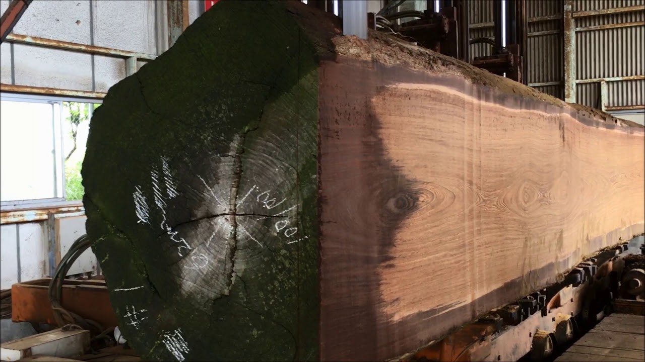 Wenge sawing 　AfricaｎTimber