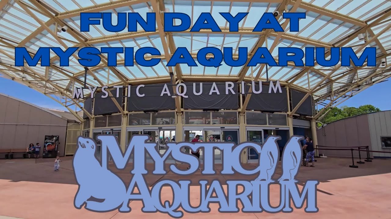 A Fun Day at Mystic Aquarium 4K Video Tour Connecticut Family Fun