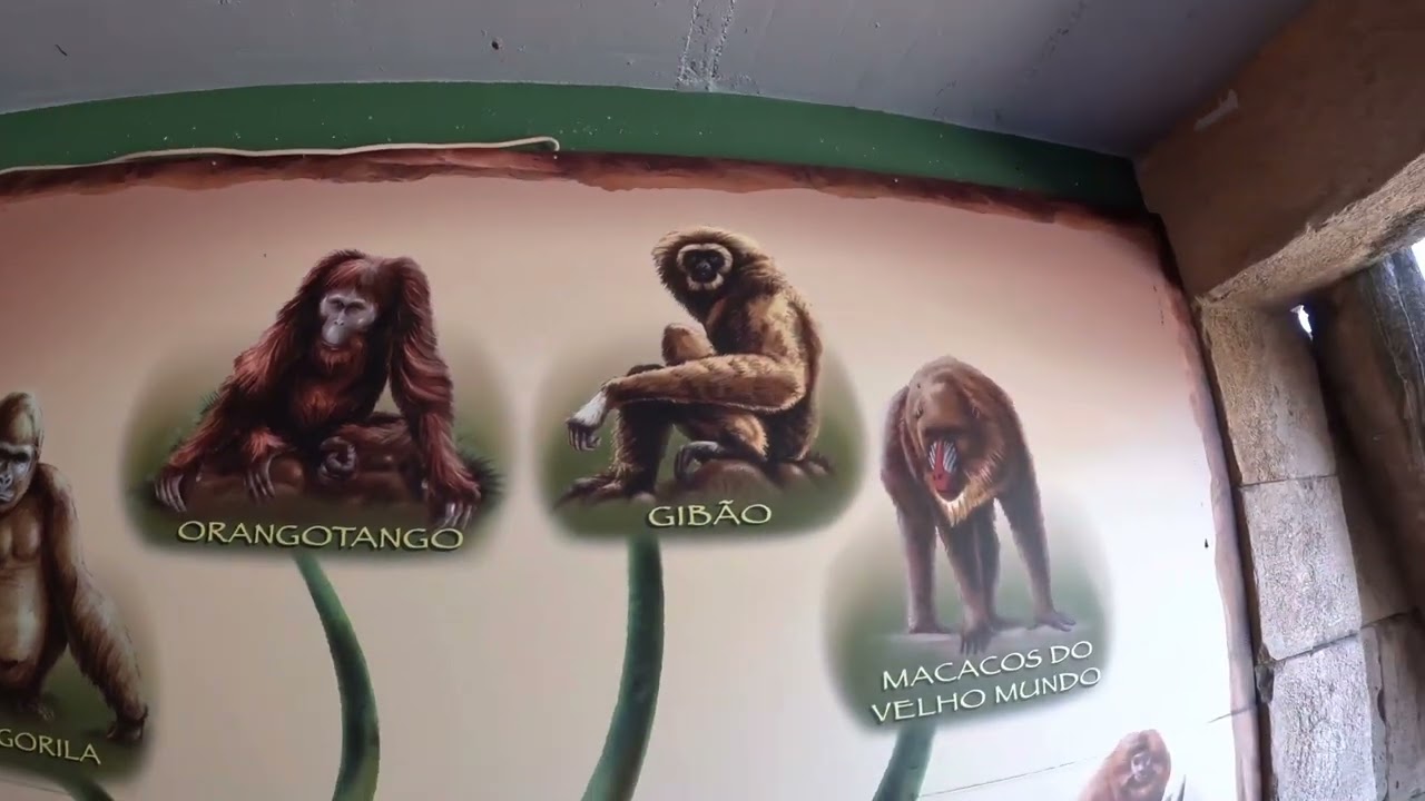 Lisbon Zoo - Jardim Zoológico  Portugal August 2022 (4K)