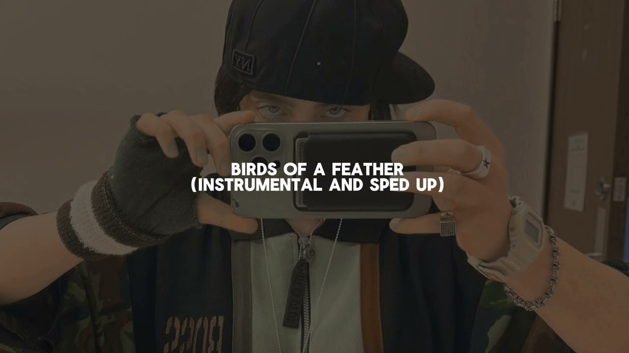 birds of a feather - billie eilish (instrumental and sped up)