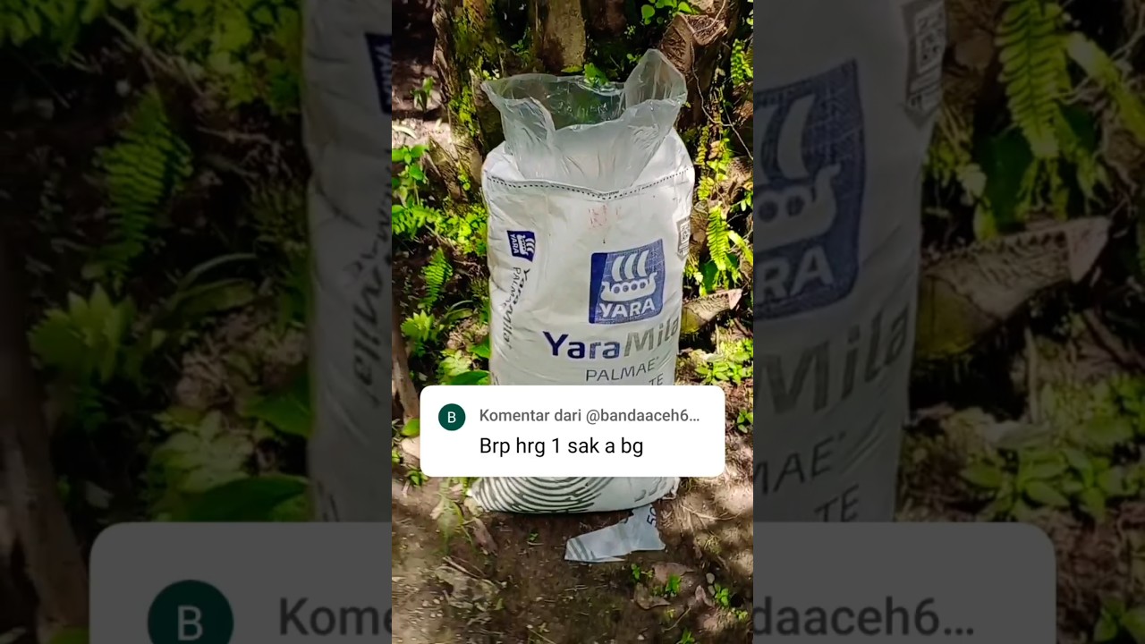 Harga Pupuk Sawit NPK YaraMila Palmae #palmoil #sawit #pupuk #pupuksawit