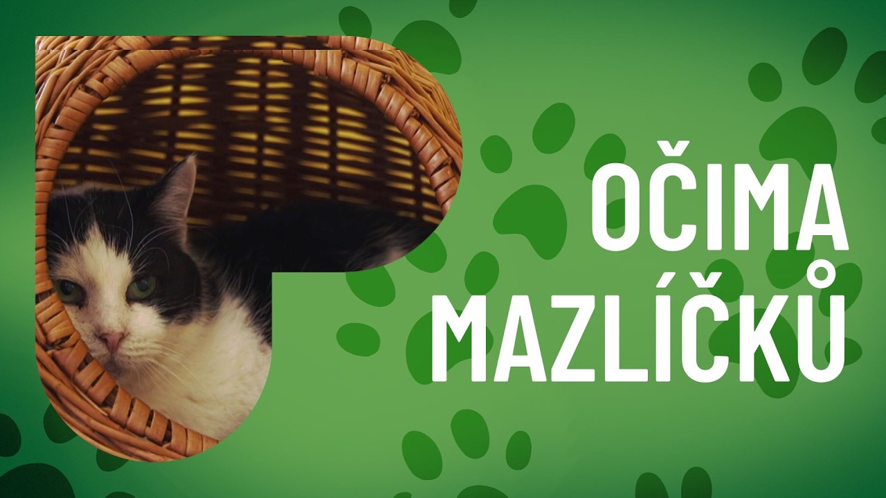 V Úmoníně si kočky žijí jako na zámku