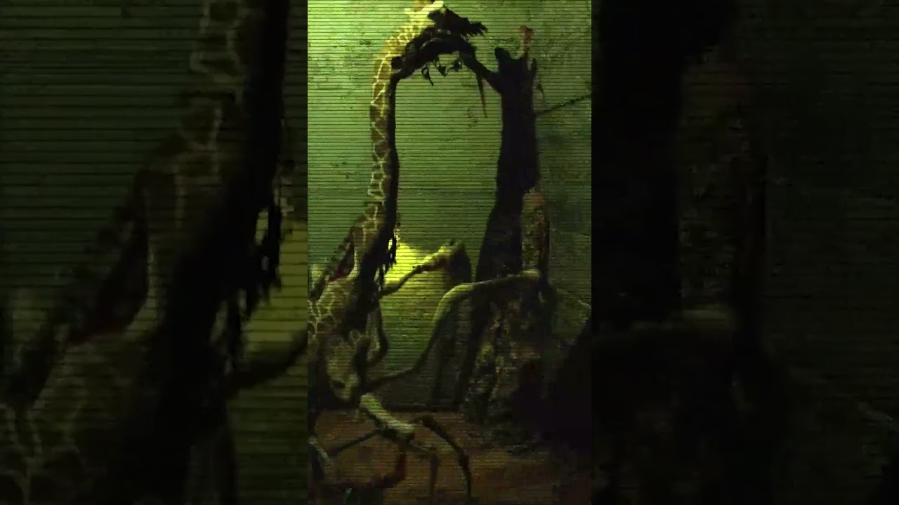 Zoochosis