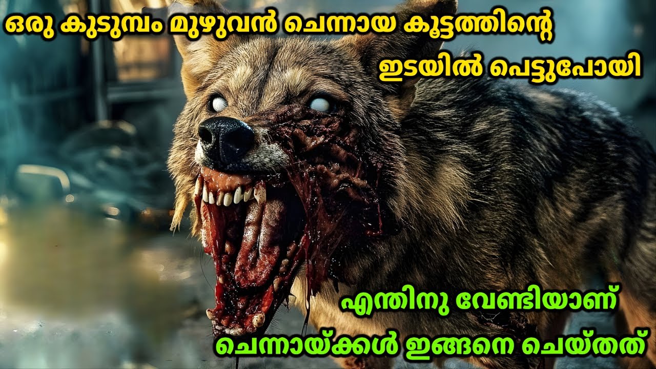 എന്തിനു വേണ്ടിയായിരുന്നു ഈ നരനായാട്ട് 🐺