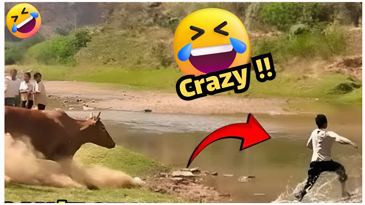 أطرف مقاطع الشهر #79 - حياة أشخاص مضحكة حاول ألا تضحك 😂🤣🔥
