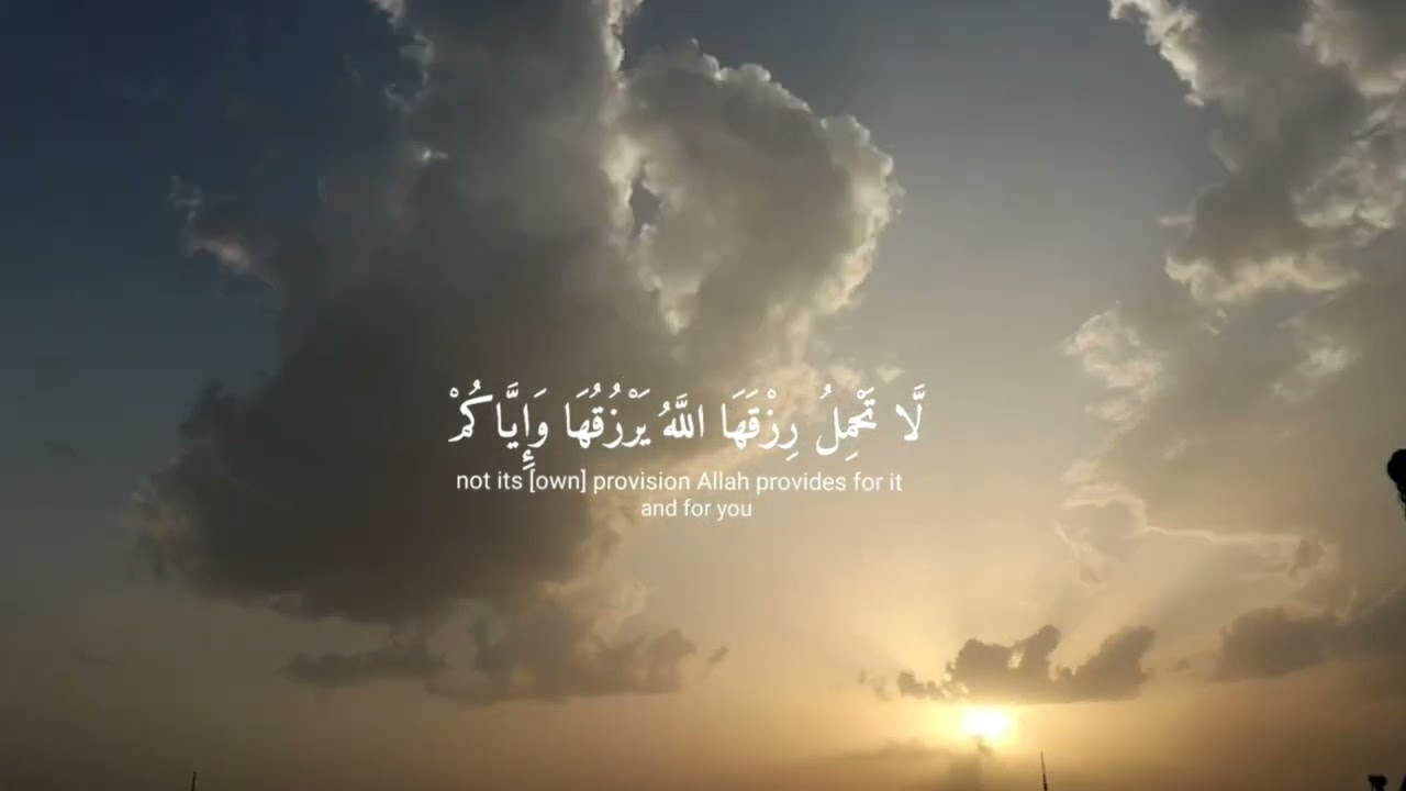 رسالة سريعة لكل من أُغلقت في وجهه الأبواب.❤️
