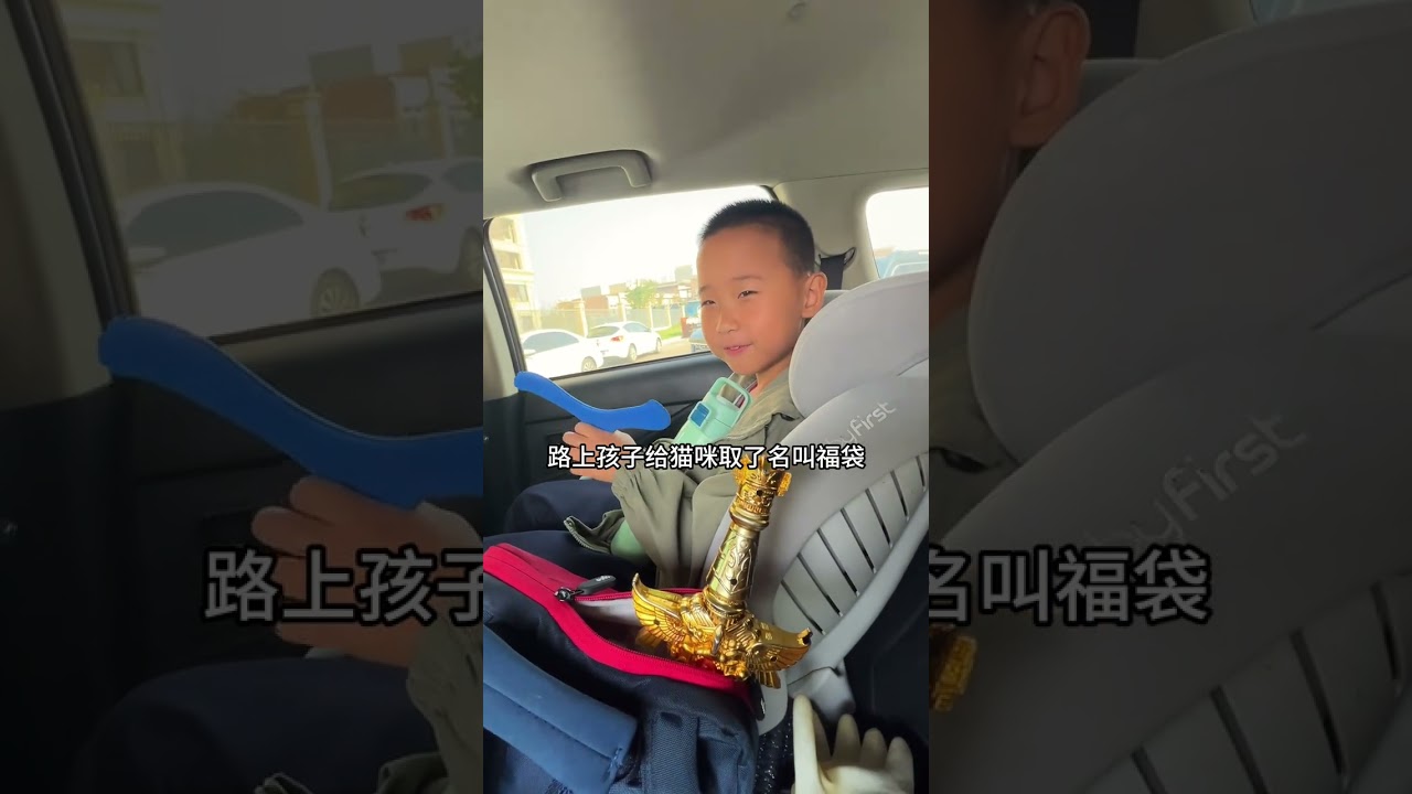 Full Version Follow-up (Encounter with a Stray Cat - The First Spring Festival)#Daily vlog