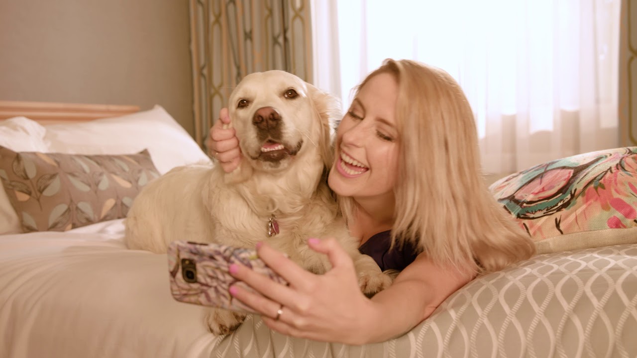 Accent Inns: Different...in a good way